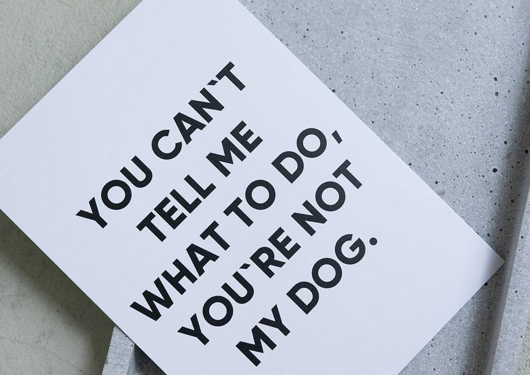 Ansichtkaart "YOU CAN'T TELL ME" wit | Lieblingspfote
