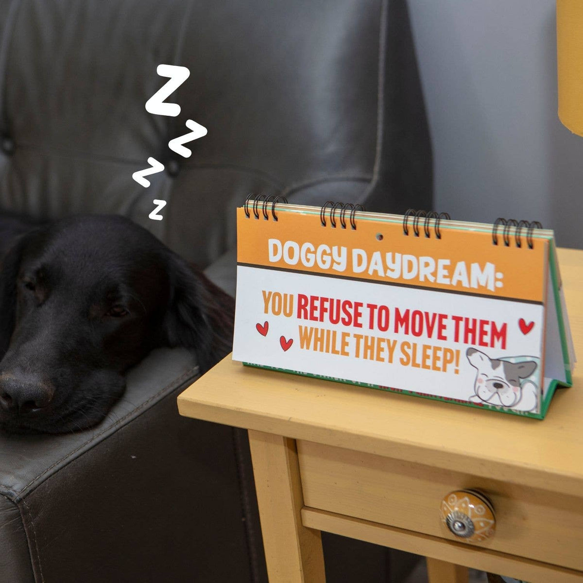 Boek "50 Ways to Spoil Your Dog"