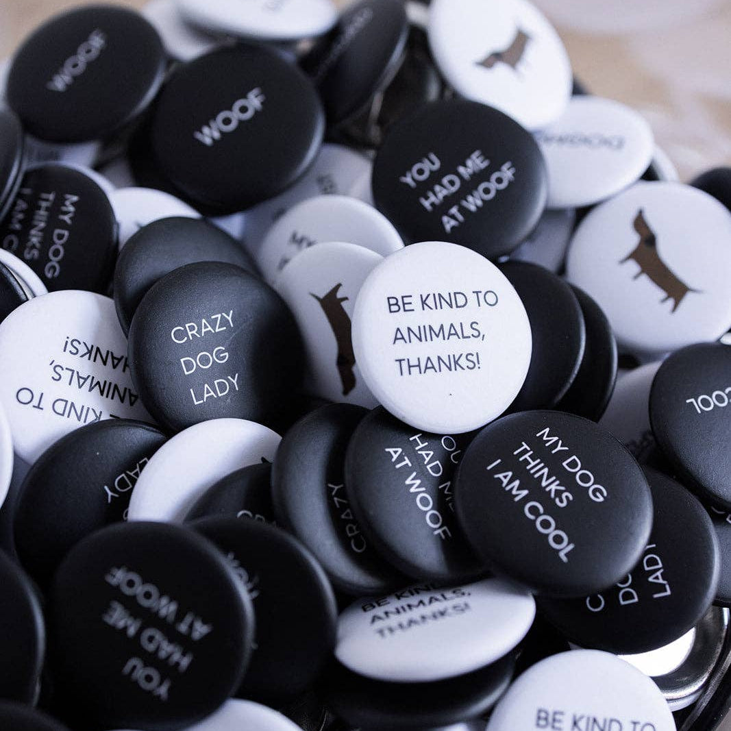 Buttons Lieblingspfote