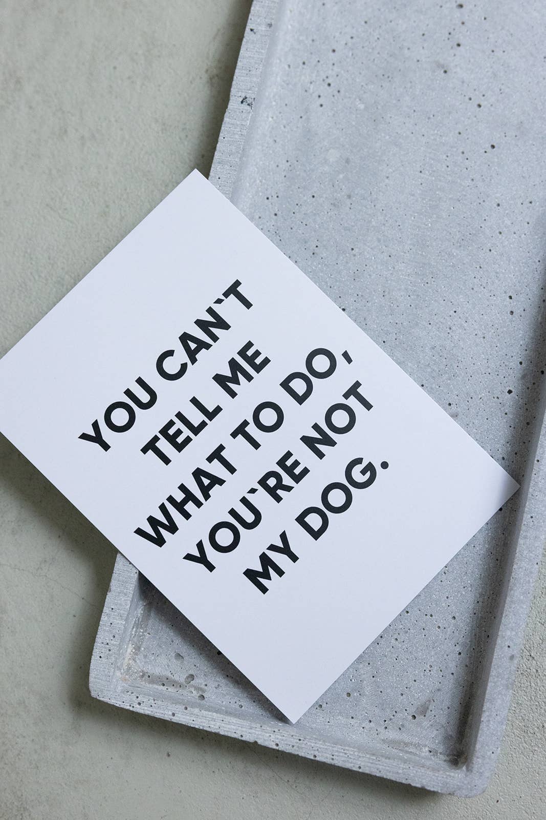 Ansichtkaart "YOU CAN'T TELL ME" wit | Lieblingspfote