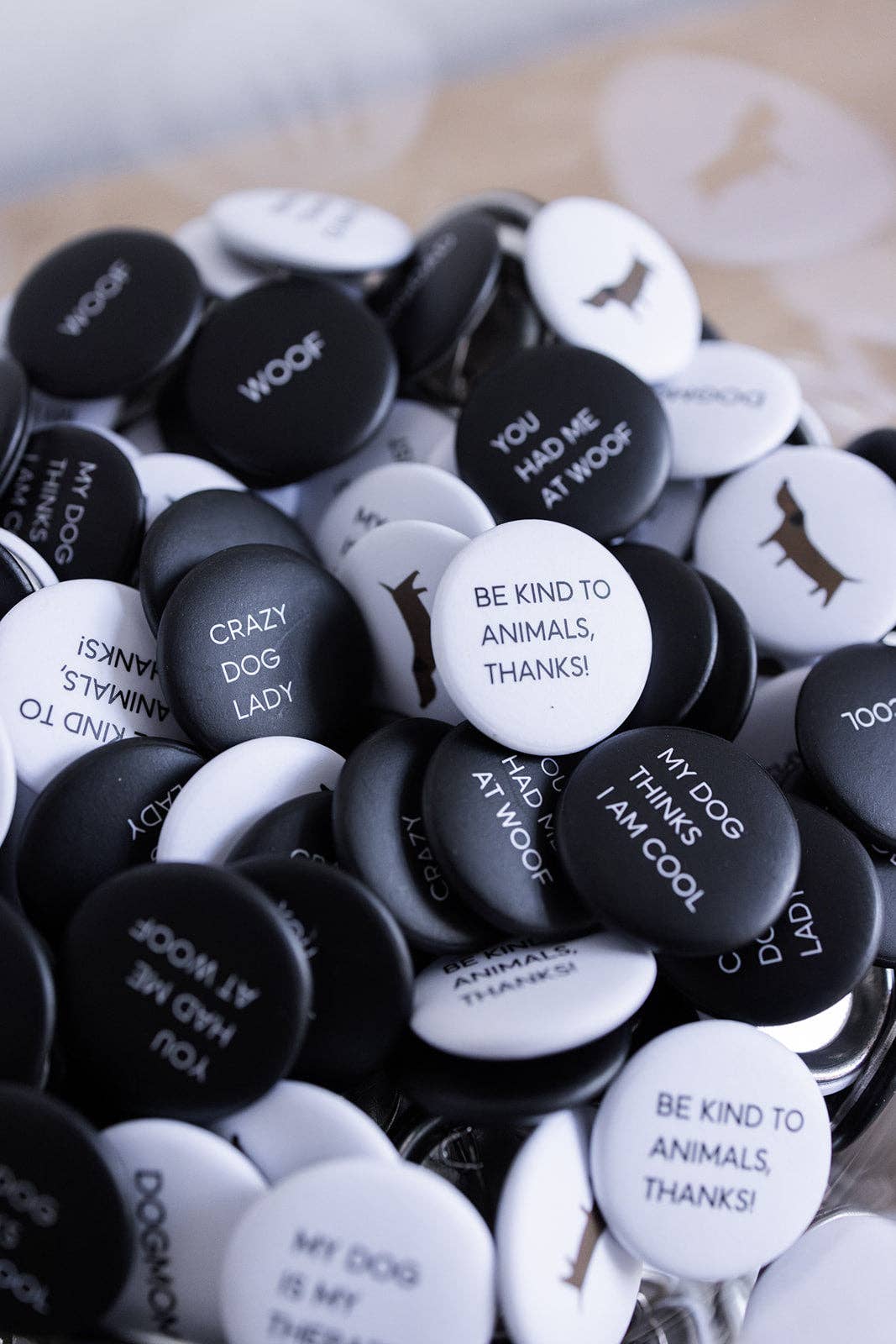 Buttons Lieblingspfote