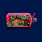 Pop-Up Kaart "Jungle" | Alljoy Design