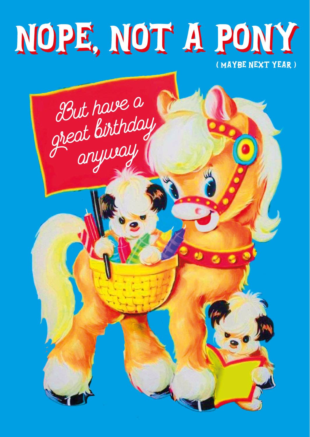 Verjaardagskaart "Nope, Not a Pony" | Studio Inktvis